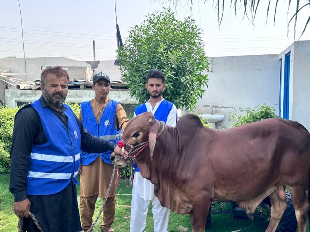 Eid-ul-Adha Sacrifice Distribution Continues